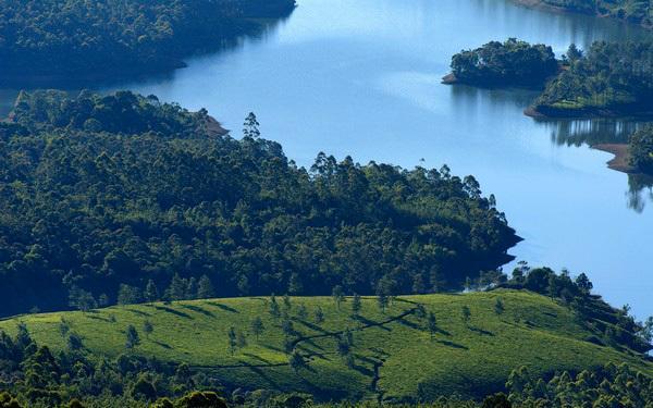 Munnar Dreams 호텔 외부 사진